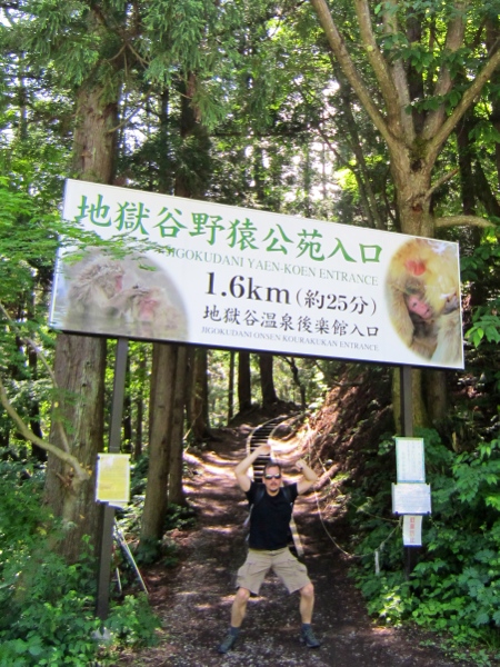 Step 3b: Walk the rest of the way through the forest.