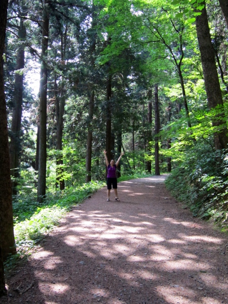 The trees in Shiroyama Forest Park are THIS big.