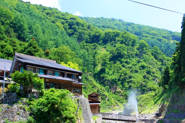 Watching the geyser within the Jigokudani Valley.