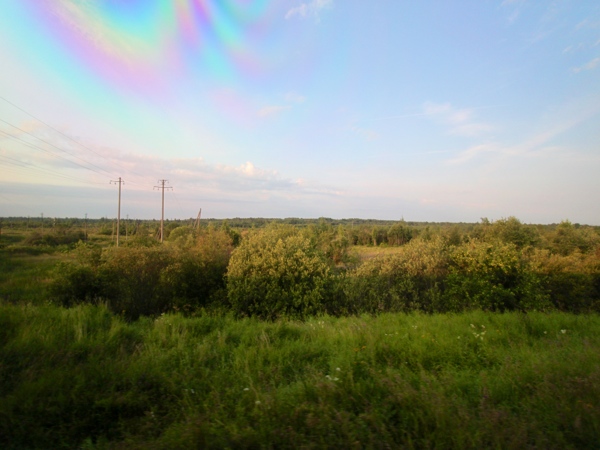 Views from the train at 6:00am - plains somewhere outside of Pskov.