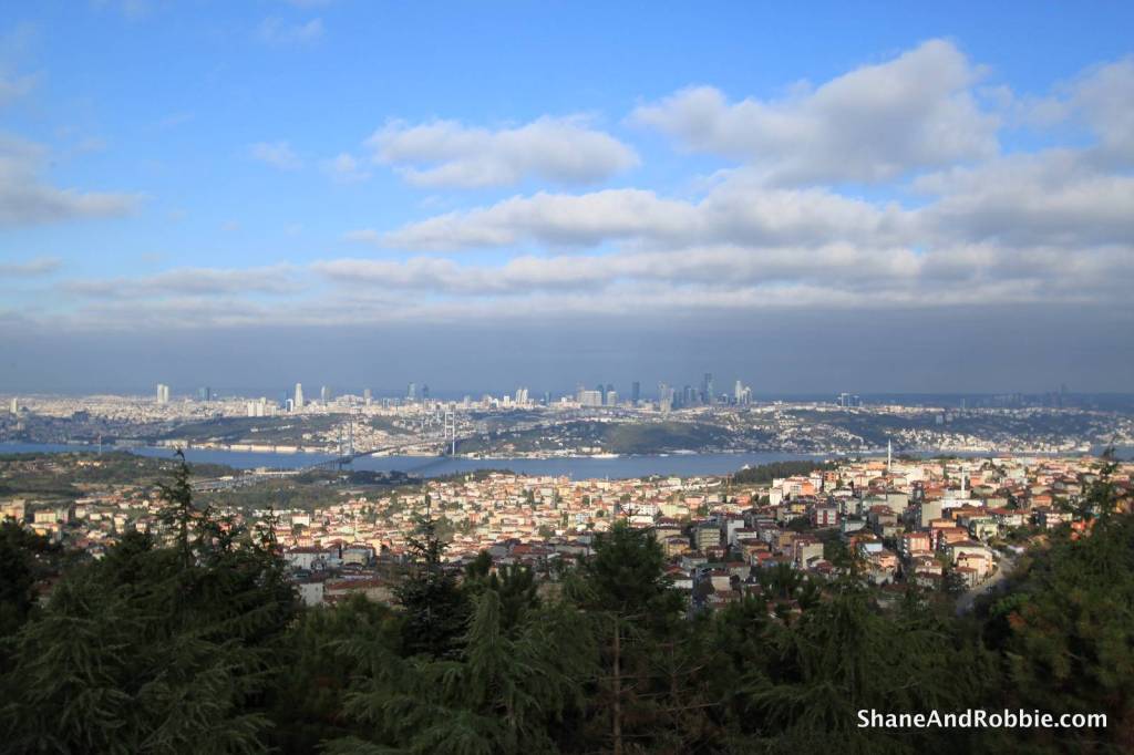 008-IMG_5300 008-IMG_5300