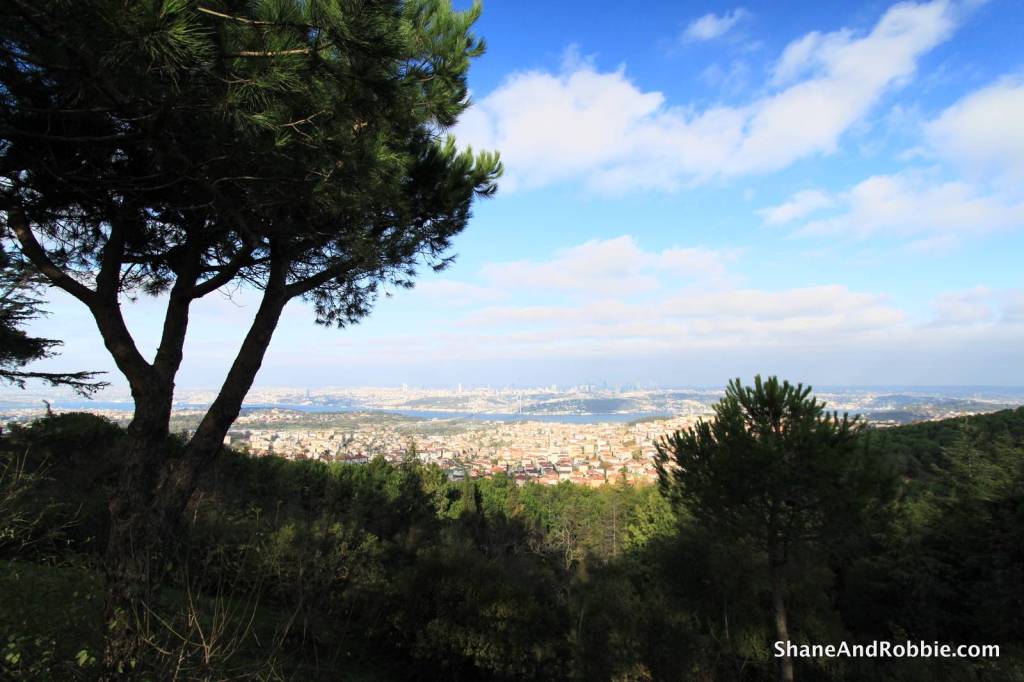 016-IMG_5308 016-IMG_5308