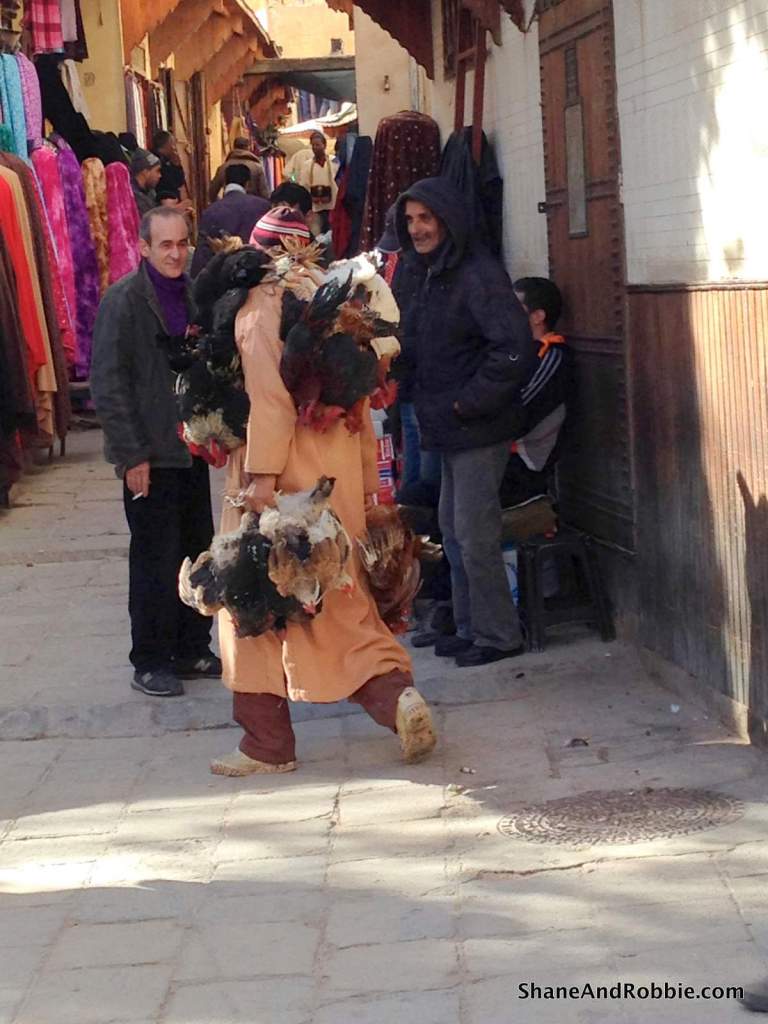 06-IMG_1920 06-IMG_1920