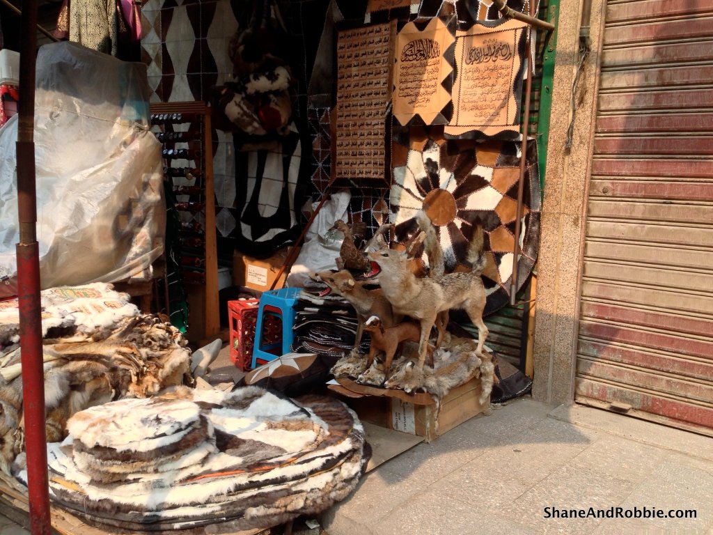 11-IMG_1690 11-IMG_1690