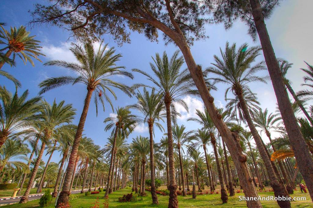 16-IMG_6922_tonemapped 16-IMG_6922_tonemapped