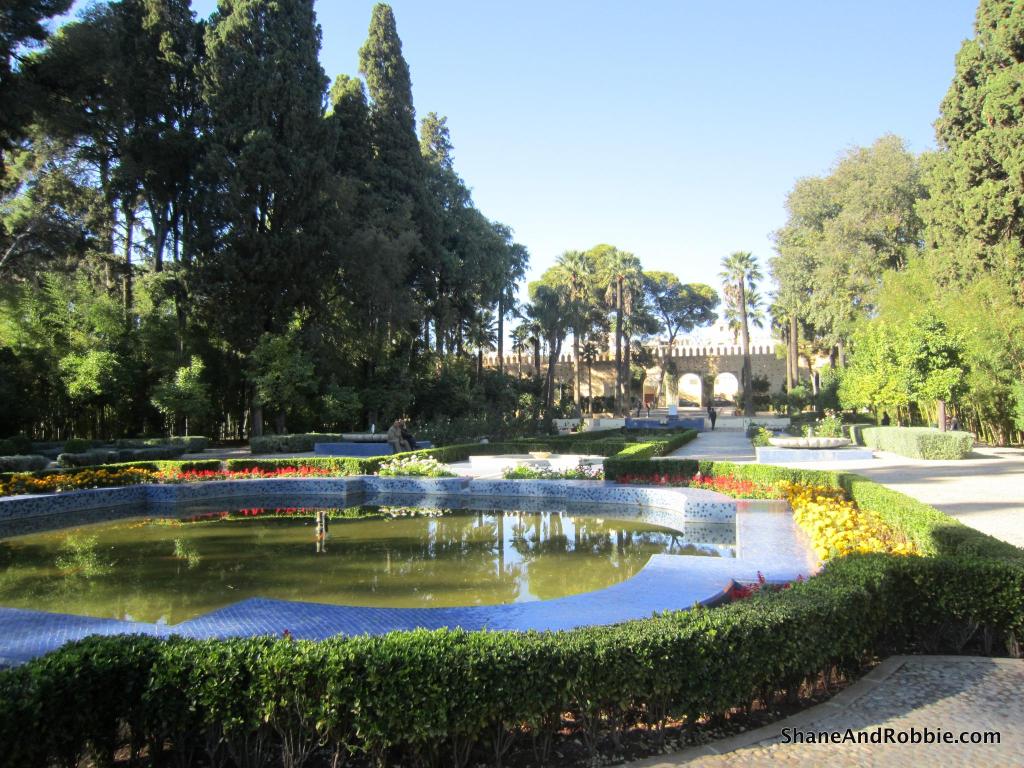 47-IMG_2208 47-IMG_2208