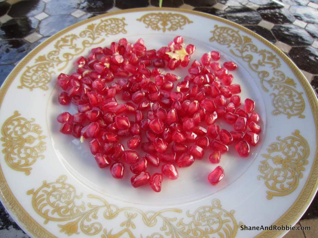 47-IMG_2243 47-IMG_2243