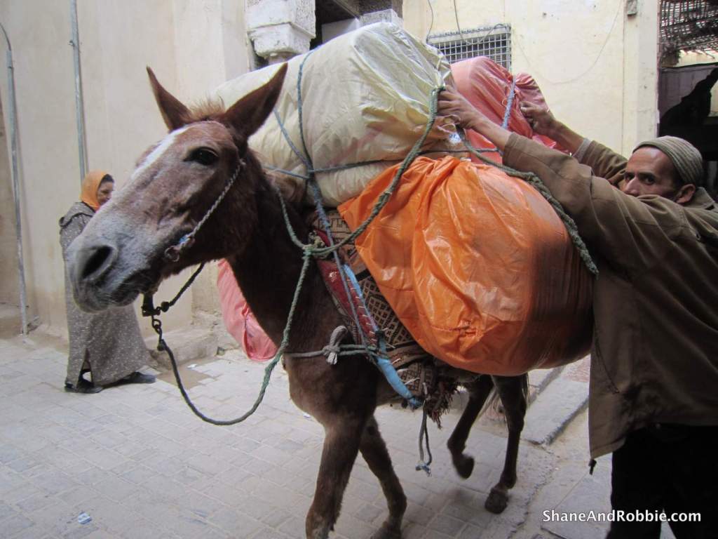 49-IMG_2246 49-IMG_2246