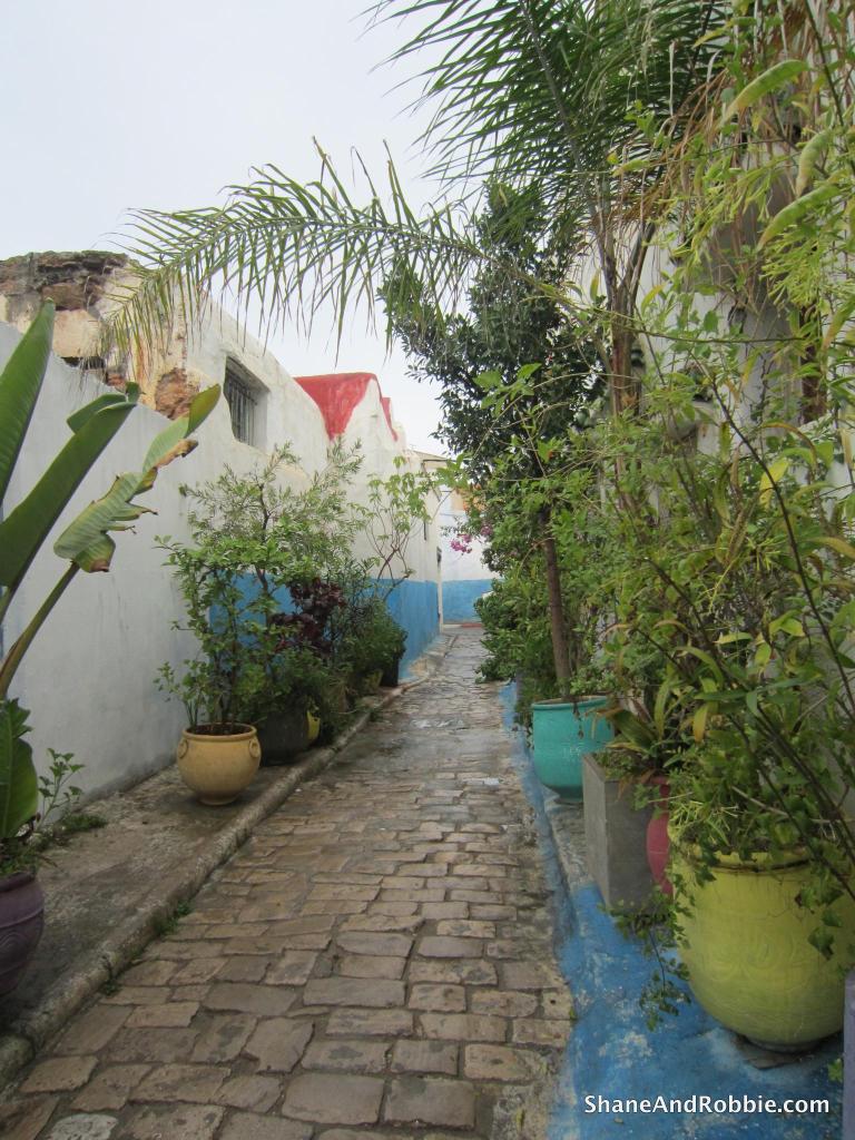 59-IMG_2101 59-IMG_2101