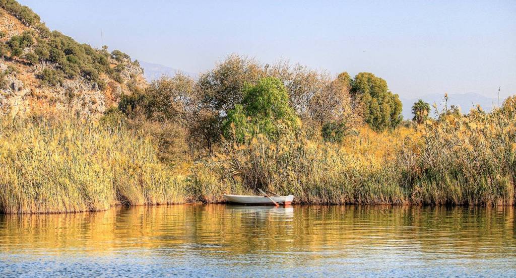 IMG_6061_tonemapped IMG_6061_tonemapped