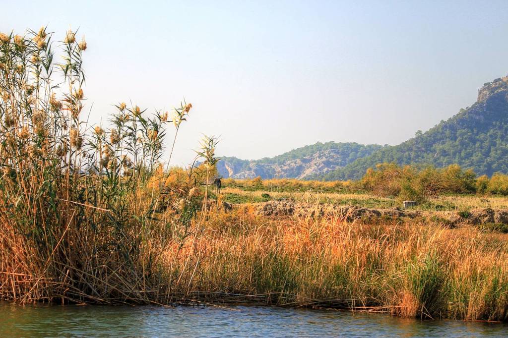 IMG_6068_tonemapped IMG_6068_tonemapped