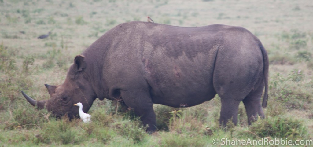 20131214-_MG_9105-001