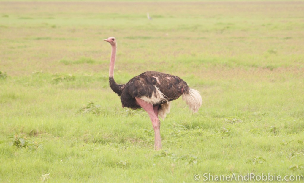 20131215-_MG_9265 20131215-_MG_9265