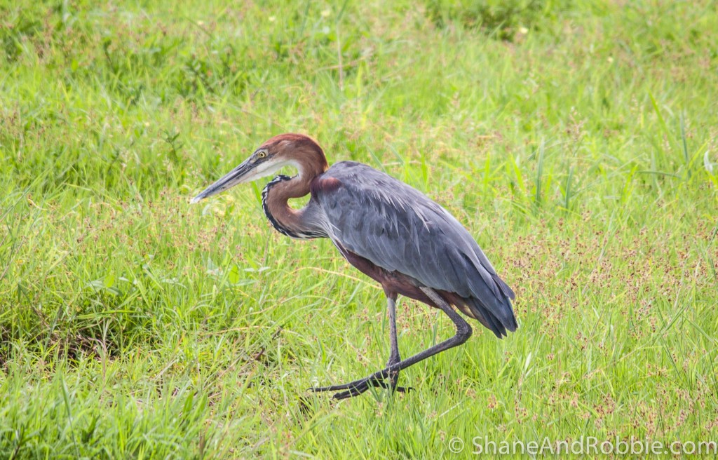 20131215-_MG_9350 20131215-_MG_9350