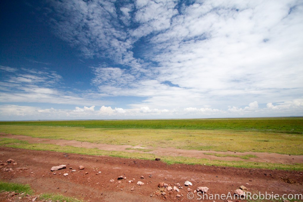 20131215-_MG_9364 20131215-_MG_9364