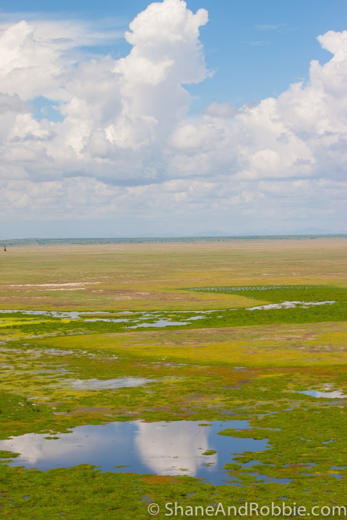 20131215-IMG_9408 20131215-IMG_9408