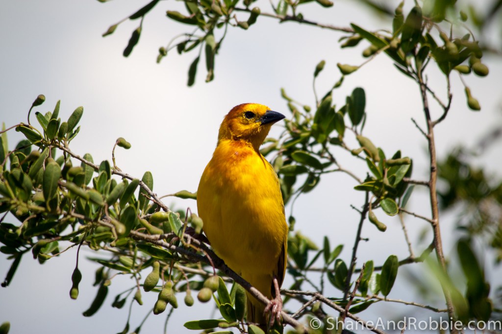 20131215-IMG_9412 20131215-IMG_9412