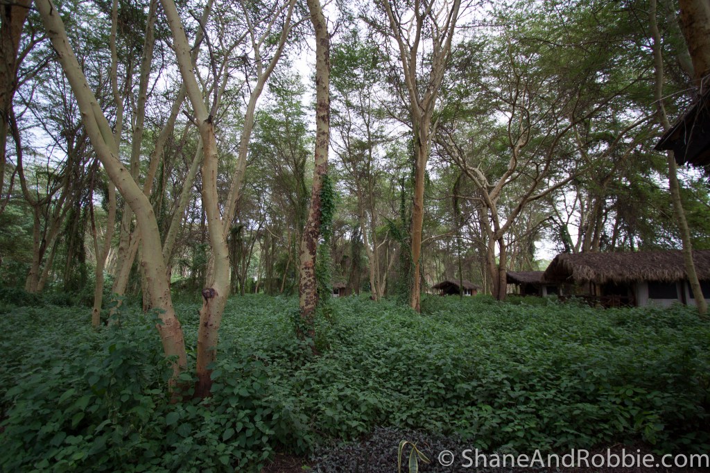 20131216-IMG_9569 20131216-IMG_9569