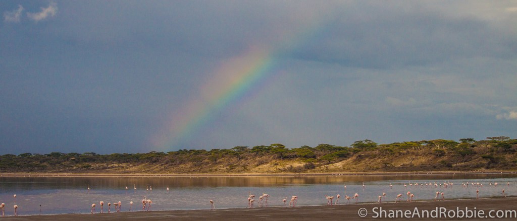 20131217-_MG_9683 20131217-_MG_9683