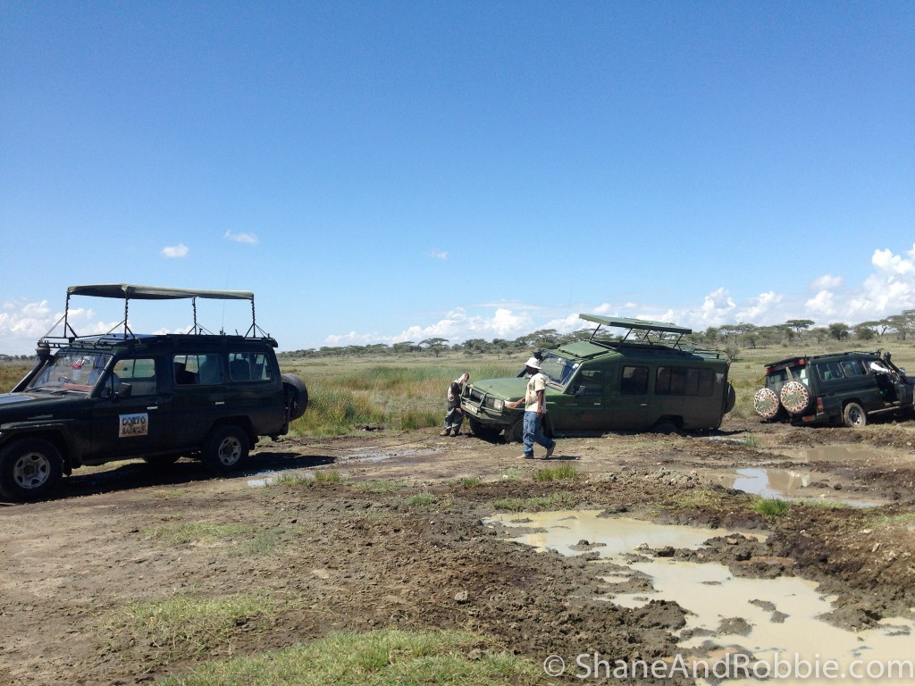 20131219-IMG_2532 20131219-IMG_2532