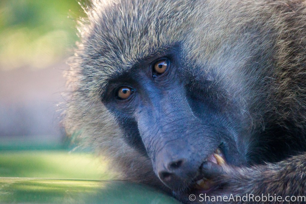 20131220-_MG_0276 20131220-_MG_0276