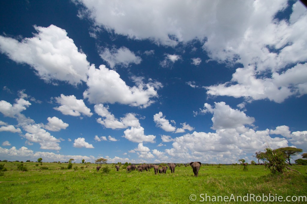 Welcome to Tarangire National Park, Tanzania. 20131221-_MG_0556
