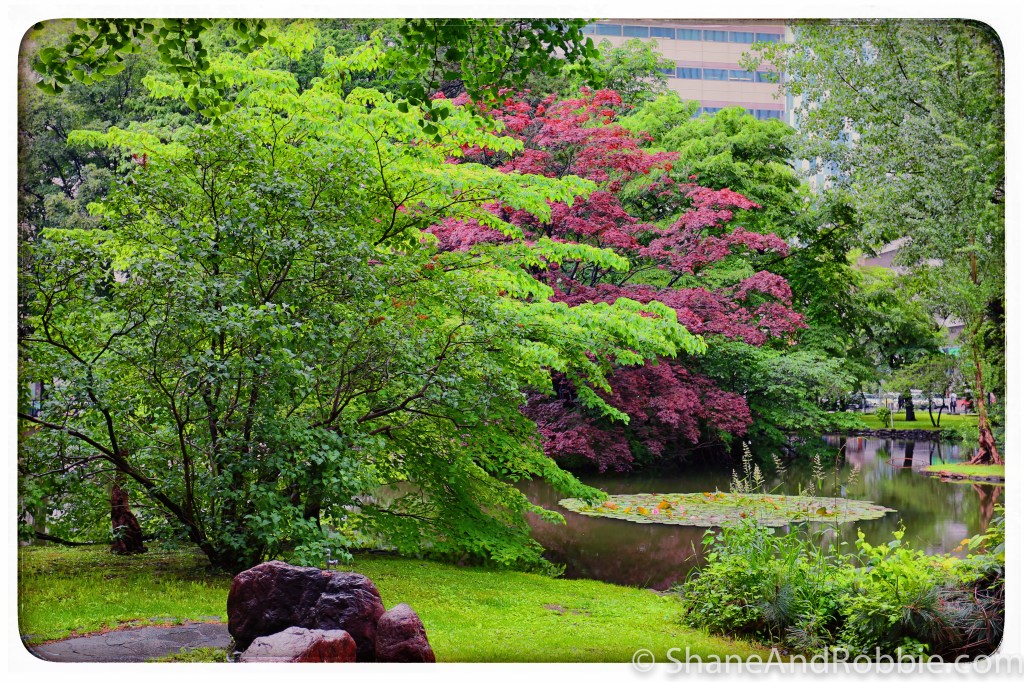 2014-06-13-20140613-00015(Canon EOS 6D)