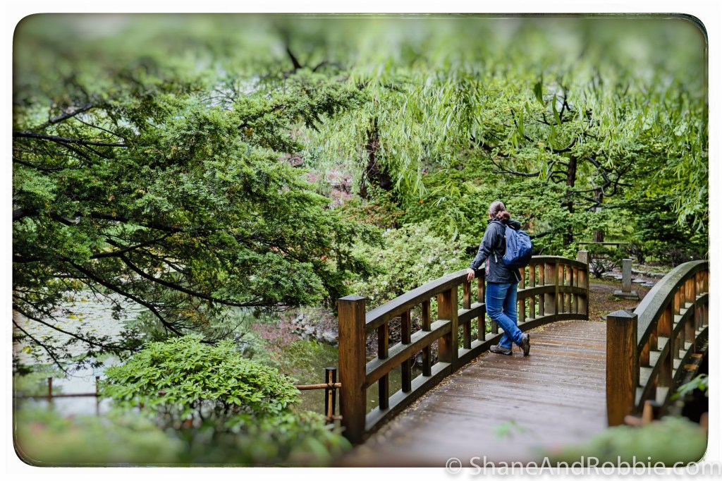 2014-06-13-20140613-00025(Canon EOS 6D)