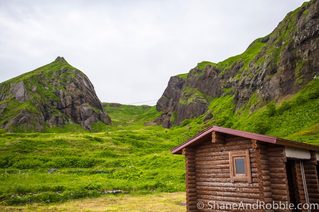 2014-06-15-20140615-00008(Canon EOS 6D)