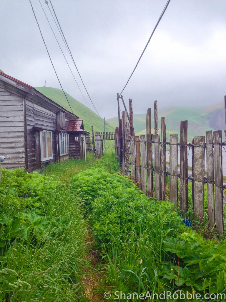 2014-06-16-20140616-00001(iPhone 5)