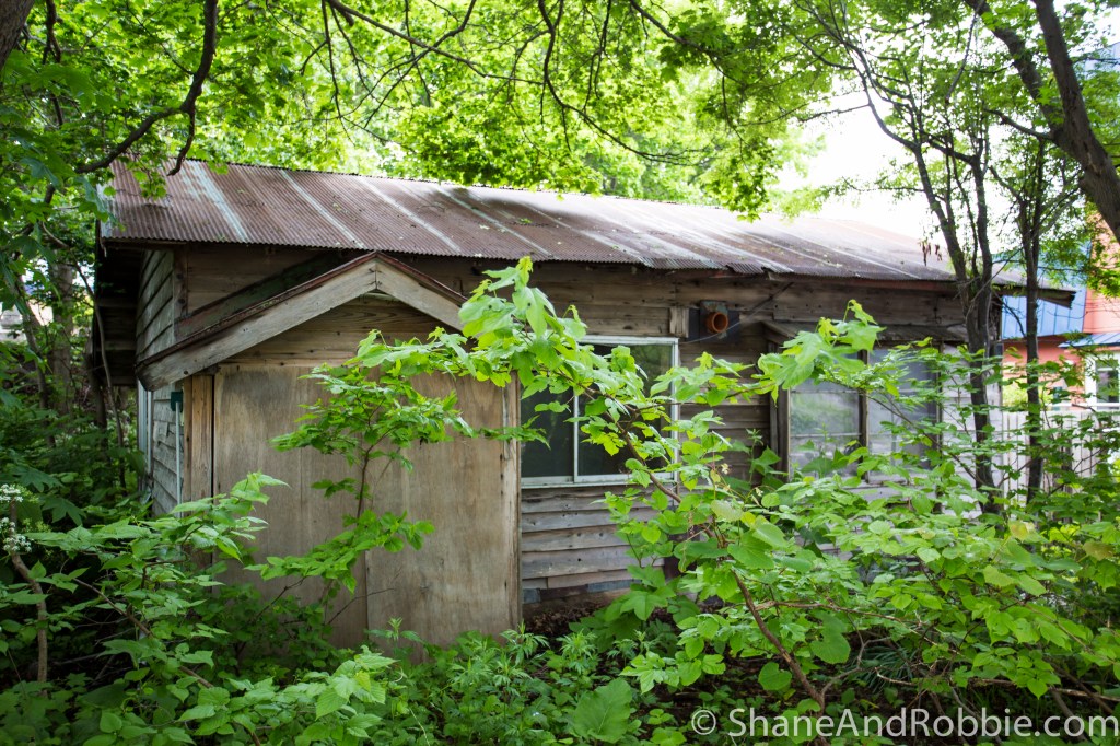 2014-06-17-20140617-00009(Canon EOS 6D)