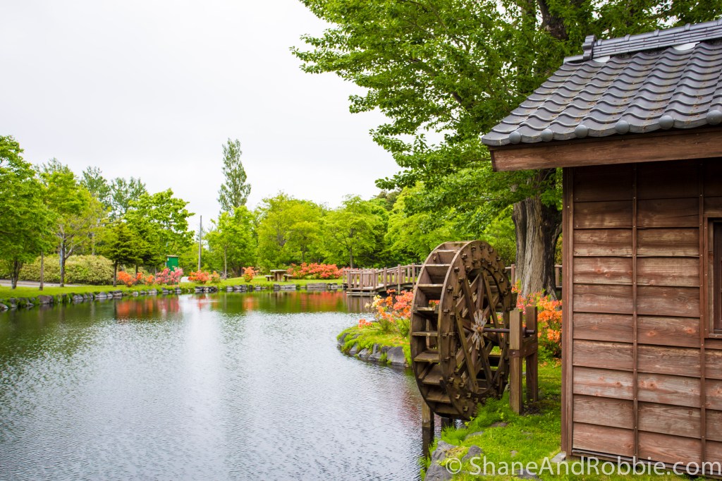 2014-06-17-20140617-00011(Canon EOS 6D)