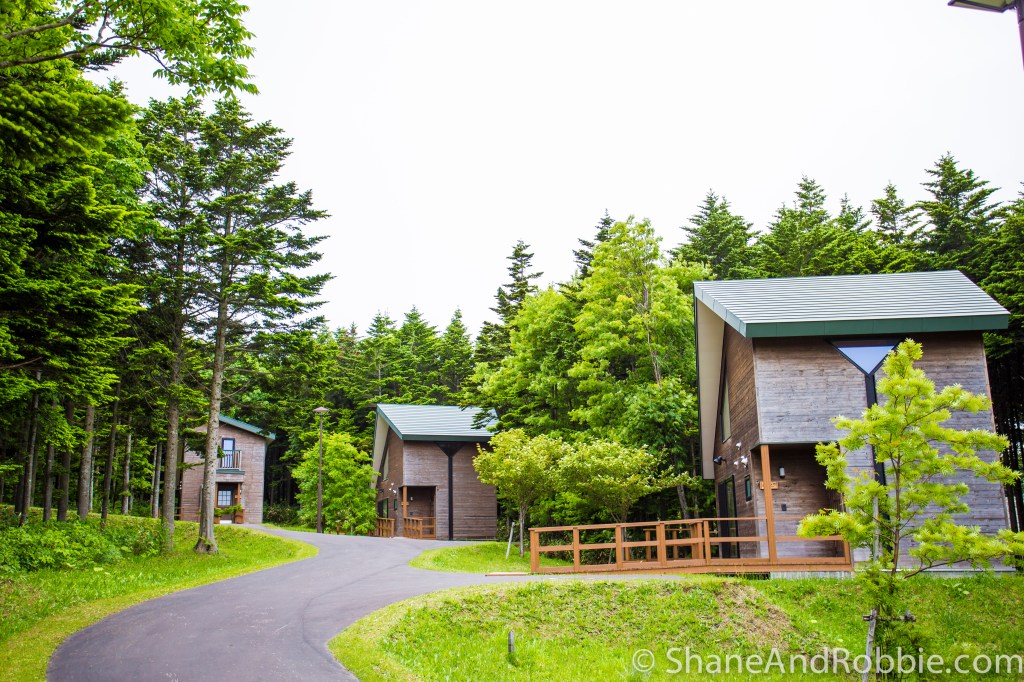 2014-06-17-20140617-00012(Canon EOS 6D)