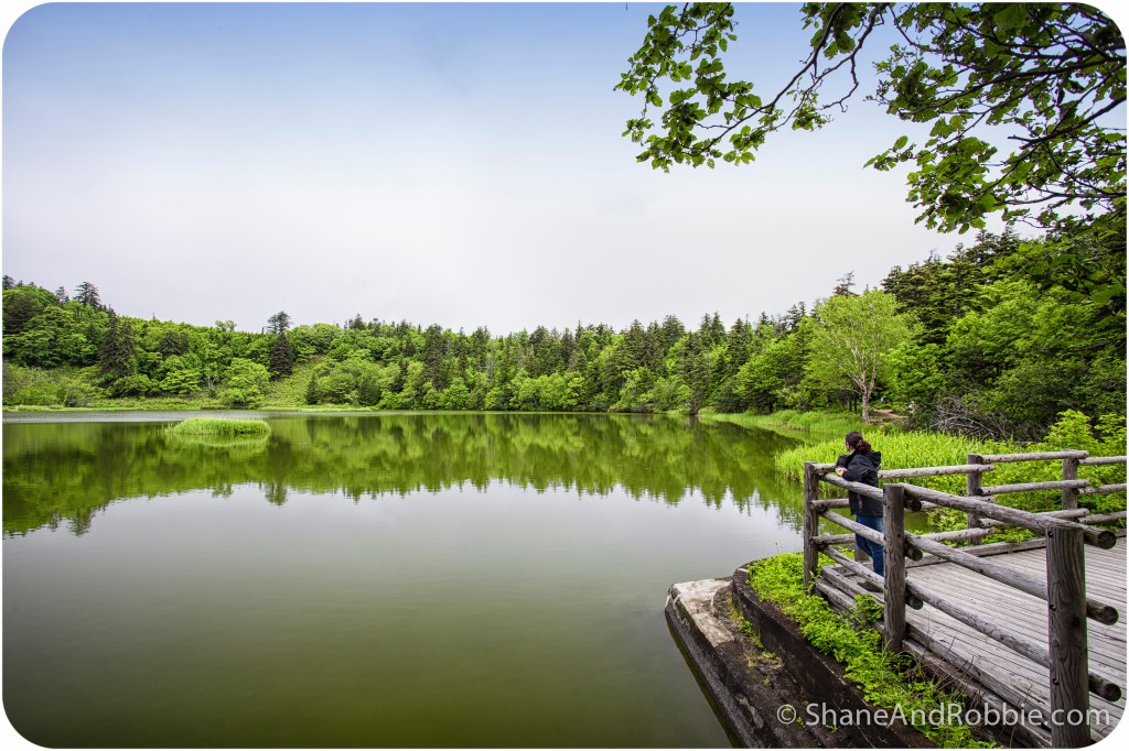 2014-06-18-20140618-00015(Canon EOS 6D)