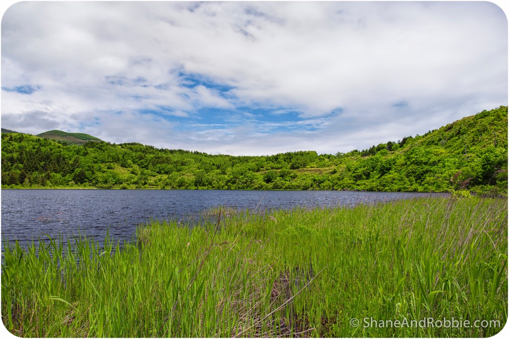 2014-06-18-20140618-00028(Canon EOS 6D)