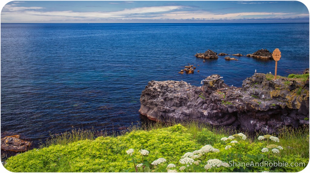 2014-06-18-20140618-00044(Canon EOS 6D)