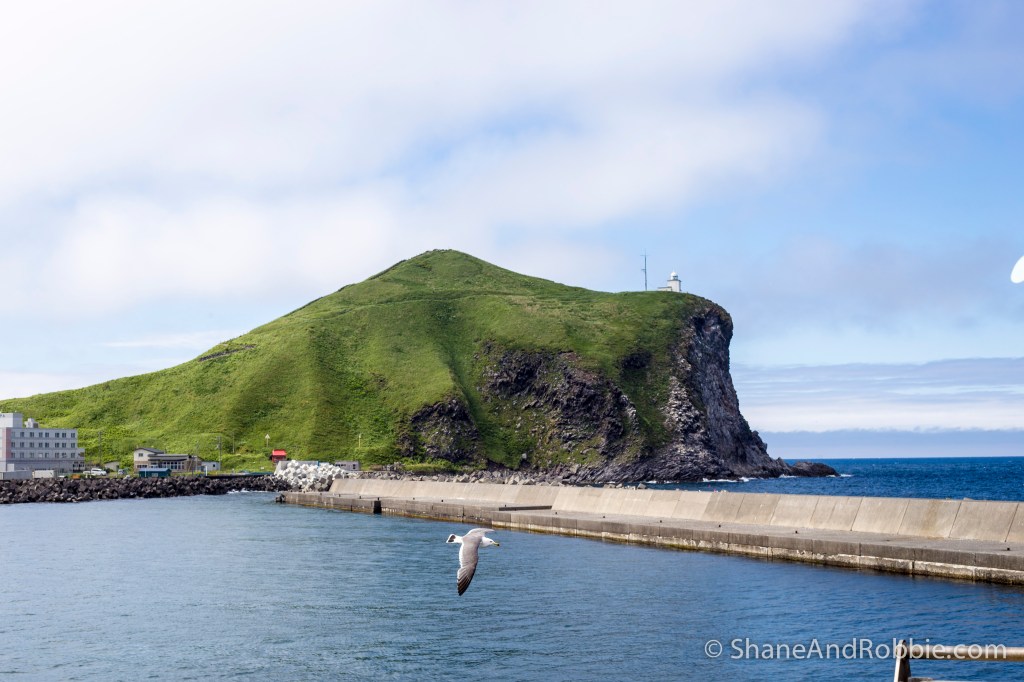 2014-06-18-20140618-00055(Canon EOS 6D)