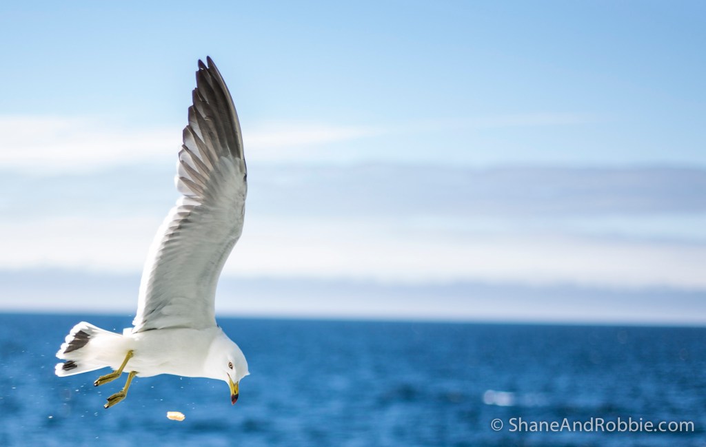 2014-06-18-20140618-00056(Canon EOS 6D)