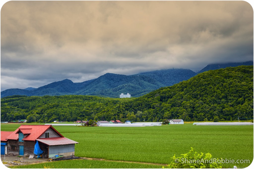 2014-06-20-20140620-00006(Canon EOS 6D)