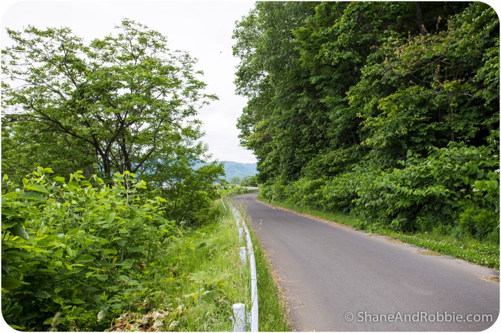 2014-06-20-20140620-00008(Canon EOS 6D)