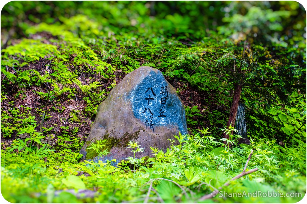 2014-06-20-20140620-00009(Canon EOS 6D)