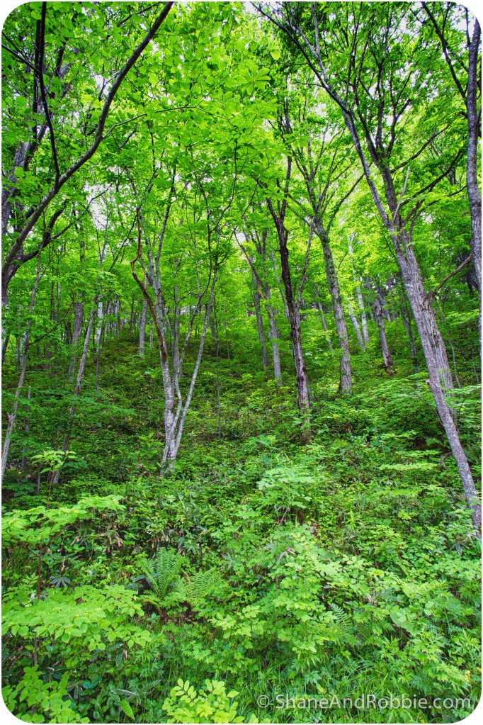 2014-06-20-20140620-00012(Canon EOS 6D)