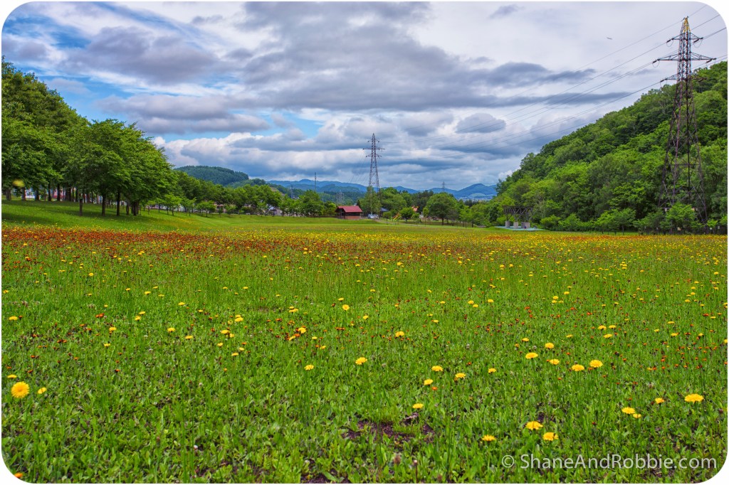 2014-06-20-20140620-00013(Canon EOS 6D)