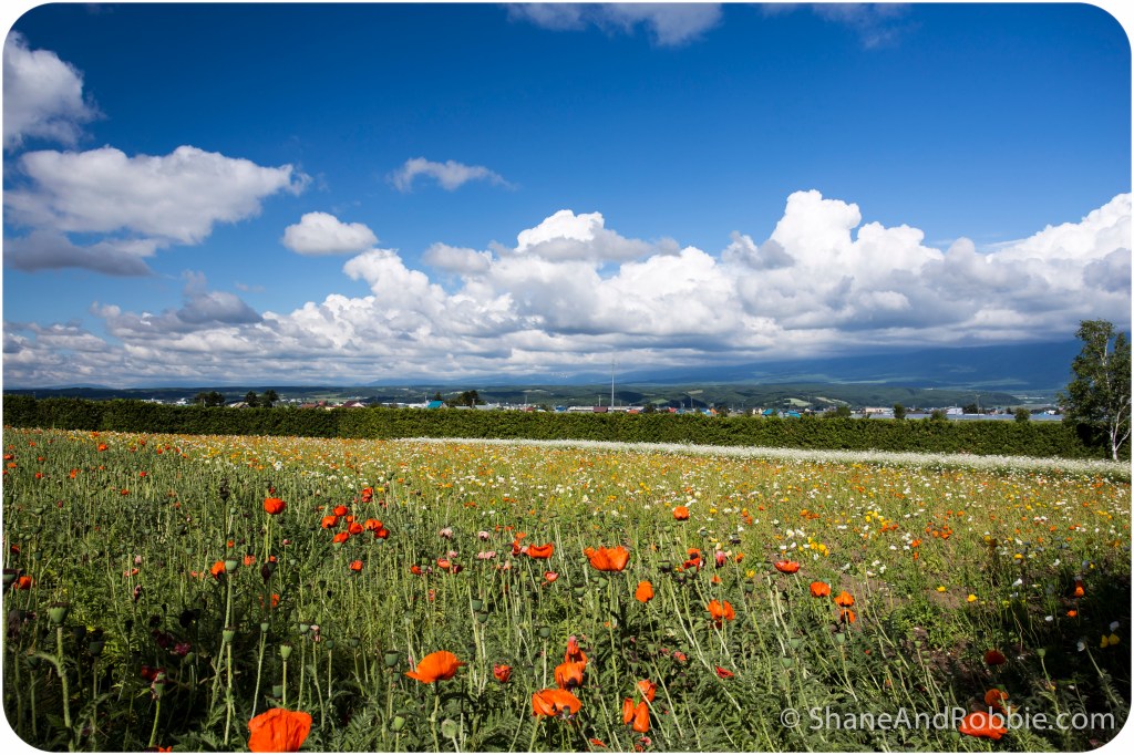 2014-06-20-20140620-00025(Canon EOS 6D)