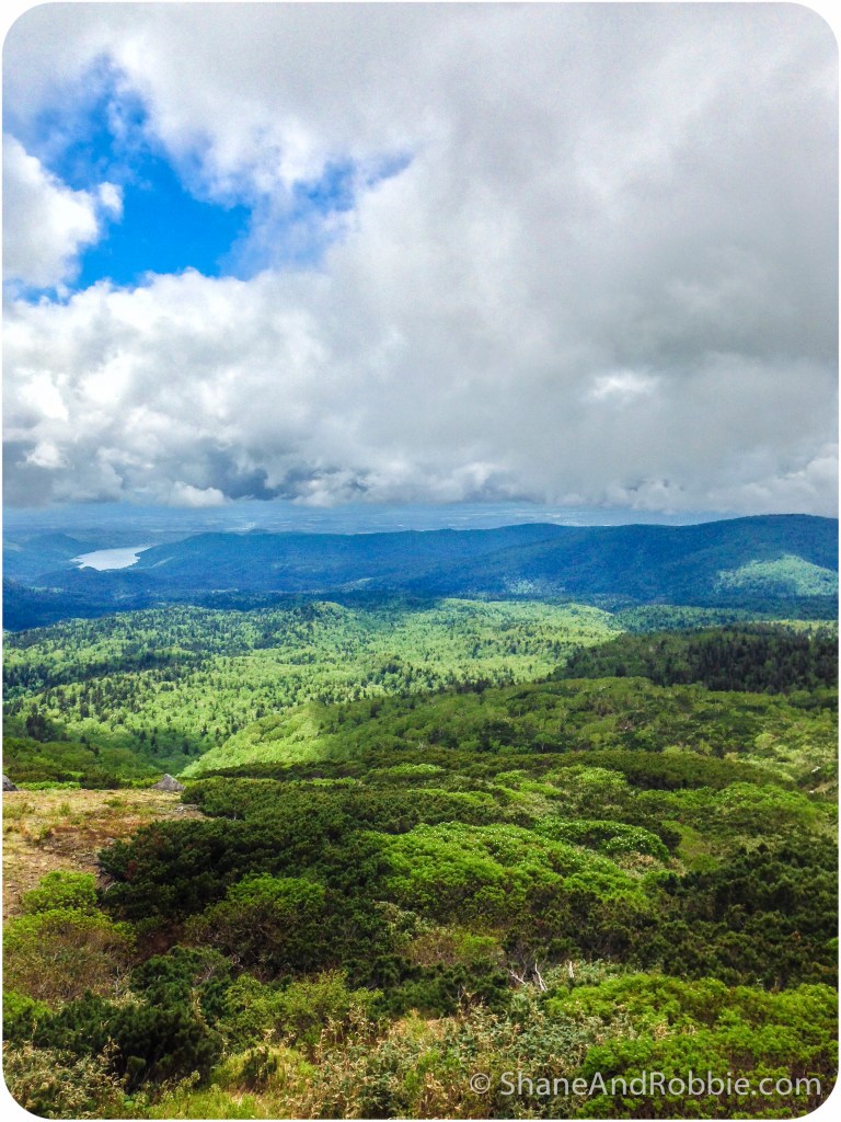 2014-06-21-20140621-00014(iPhone 5)