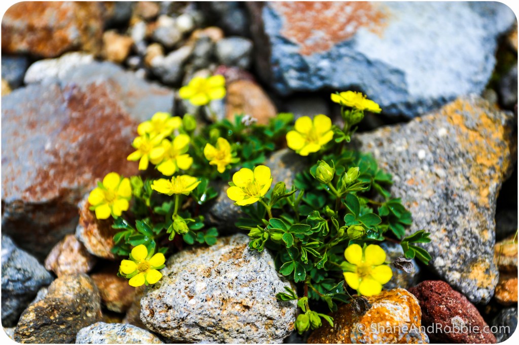 2014-06-21-20140621-00019(Canon EOS 6D)