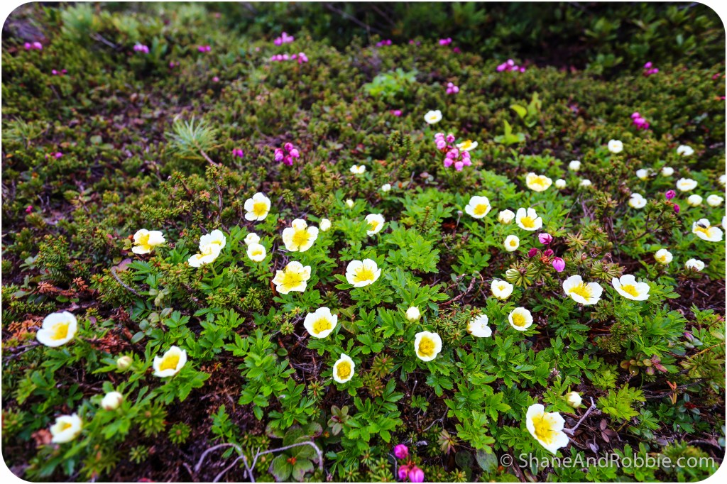 2014-06-21-20140621-00029(Canon EOS 6D)