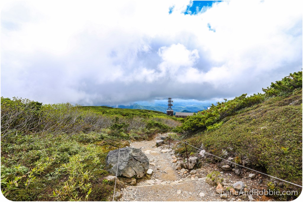 2014-06-21-20140621-00030(Canon EOS 6D)