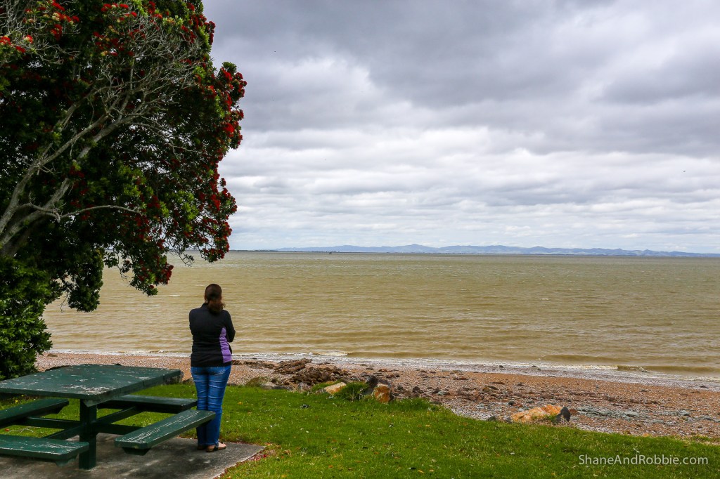 20141215-IMG_0689-0005