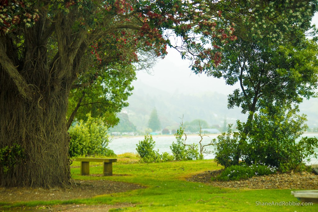 20141215-IMG_0711-0008